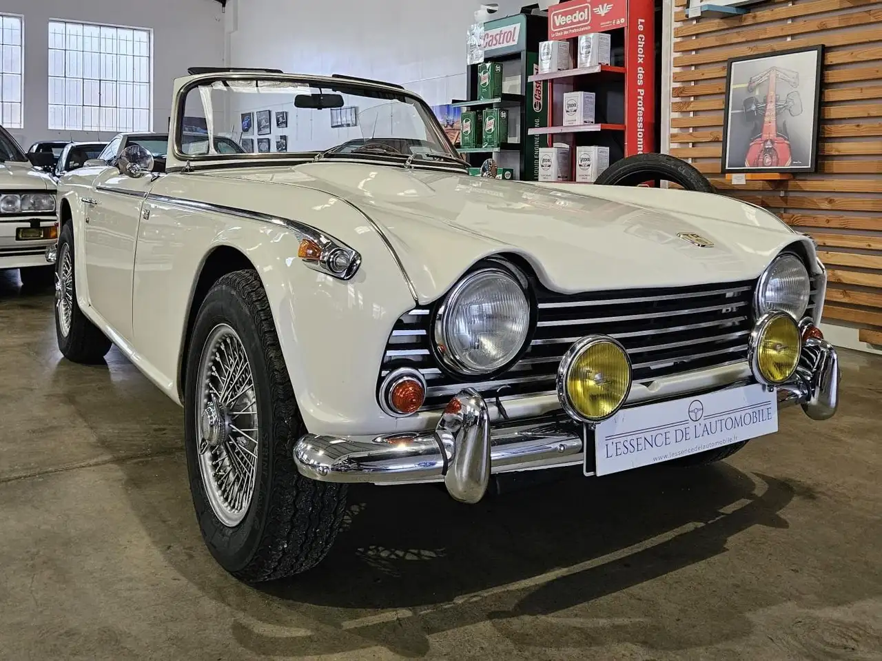 Triumph TR5 ROADSTER, foto 4