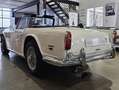 Triumph TR5 ROADSTER Weiß - thumbnail 3