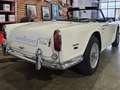Triumph TR5 ROADSTER Weiß - thumbnail 2