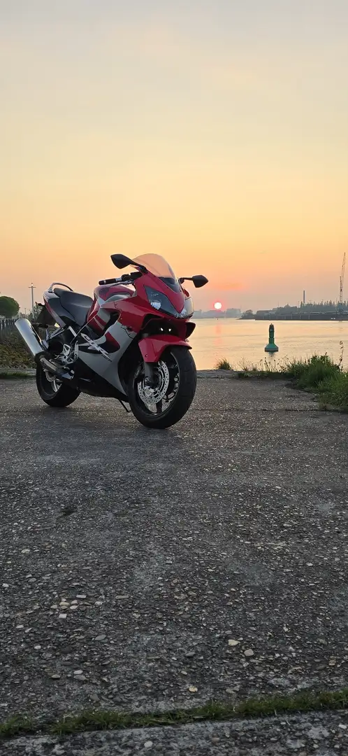 Honda CBR 600 pc35 Roşu - 2