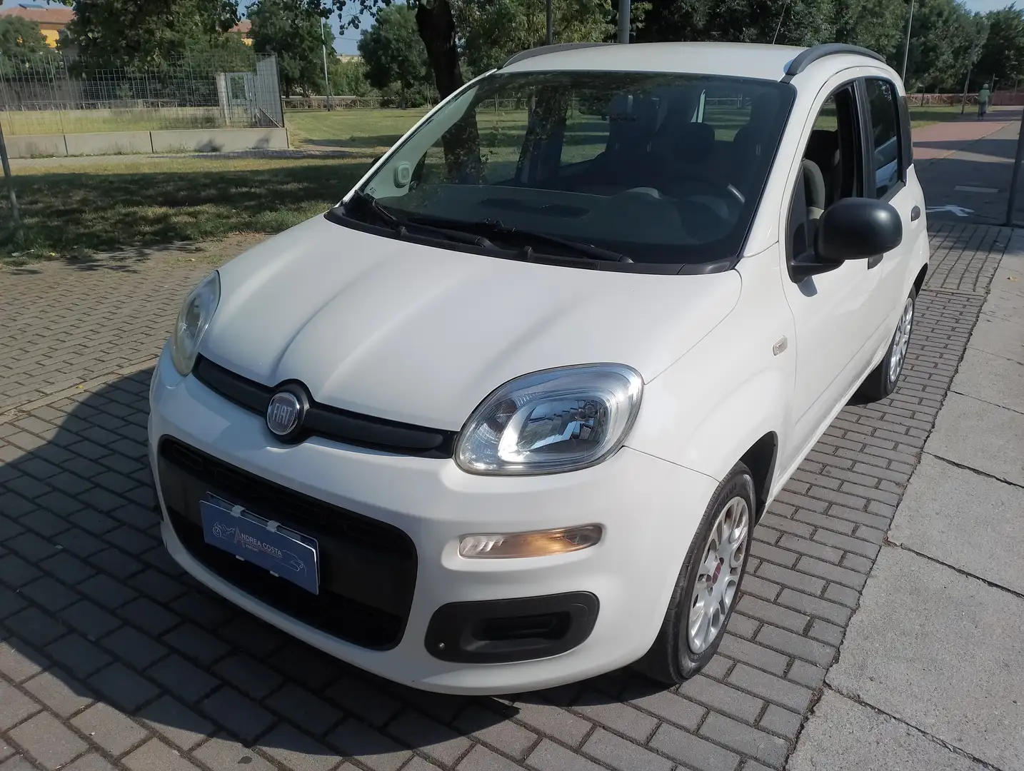 Fiat Panda 1.2 lounge 69cv neopatentati Weiß - 1