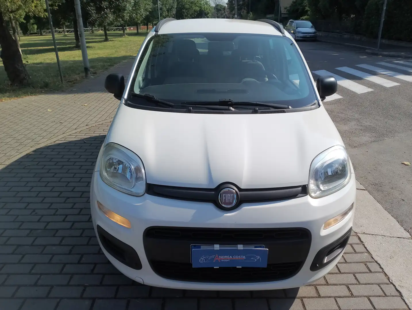 Fiat Panda 1.2 lounge 69cv neopatentati Weiß - 2