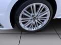 Audi A4 40 TDI S LINE AHK NAVI VIRTUAL PANO Weiß - thumbnail 8