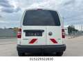 Volkswagen Caddy Kasten 1.6 TDI*1-HAND*TÜV 5-2027*EURO-5 Blanc - thumbnail 4