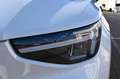 Volvo C40 Recharge Pure Electric Plus *LED*STHZ*BLIS Weiß - thumbnail 12