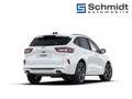 Ford Kuga ST-Line X 2,5L Duratec FHEV 183PS A AWD Weiß - thumbnail 5