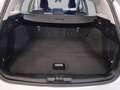 Ford Focus Active SW m-hybrid Blanc - thumbnail 13