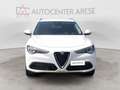 Alfa Romeo Stelvio 2.2 Turbodiesel 190 CV AT8 RWD Executive Blanc - thumbnail 8