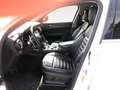 Alfa Romeo Stelvio 2.2 Turbodiesel 190 CV AT8 RWD Executive Blanc - thumbnail 11