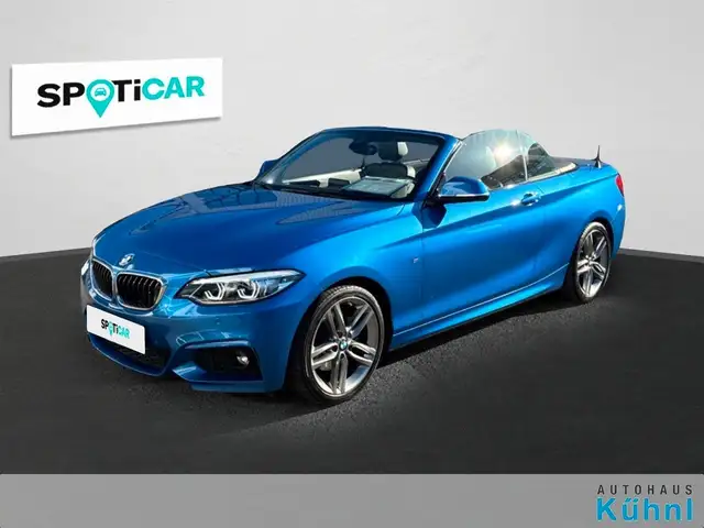 Bmw 220 i Cabrio M Sport/NAVI/Leder/Parkassi.