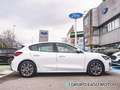 Ford Focus C346 BERLINA ST-LINE 1.0 Ecoboost MHEV 114KW (155C Blanco - thumbnail 9