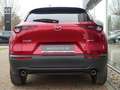 Mazda CX-30 2025 e-SKYACTIV-G M-Hybrid 140 HOMURA Rosso - thumbnail 4