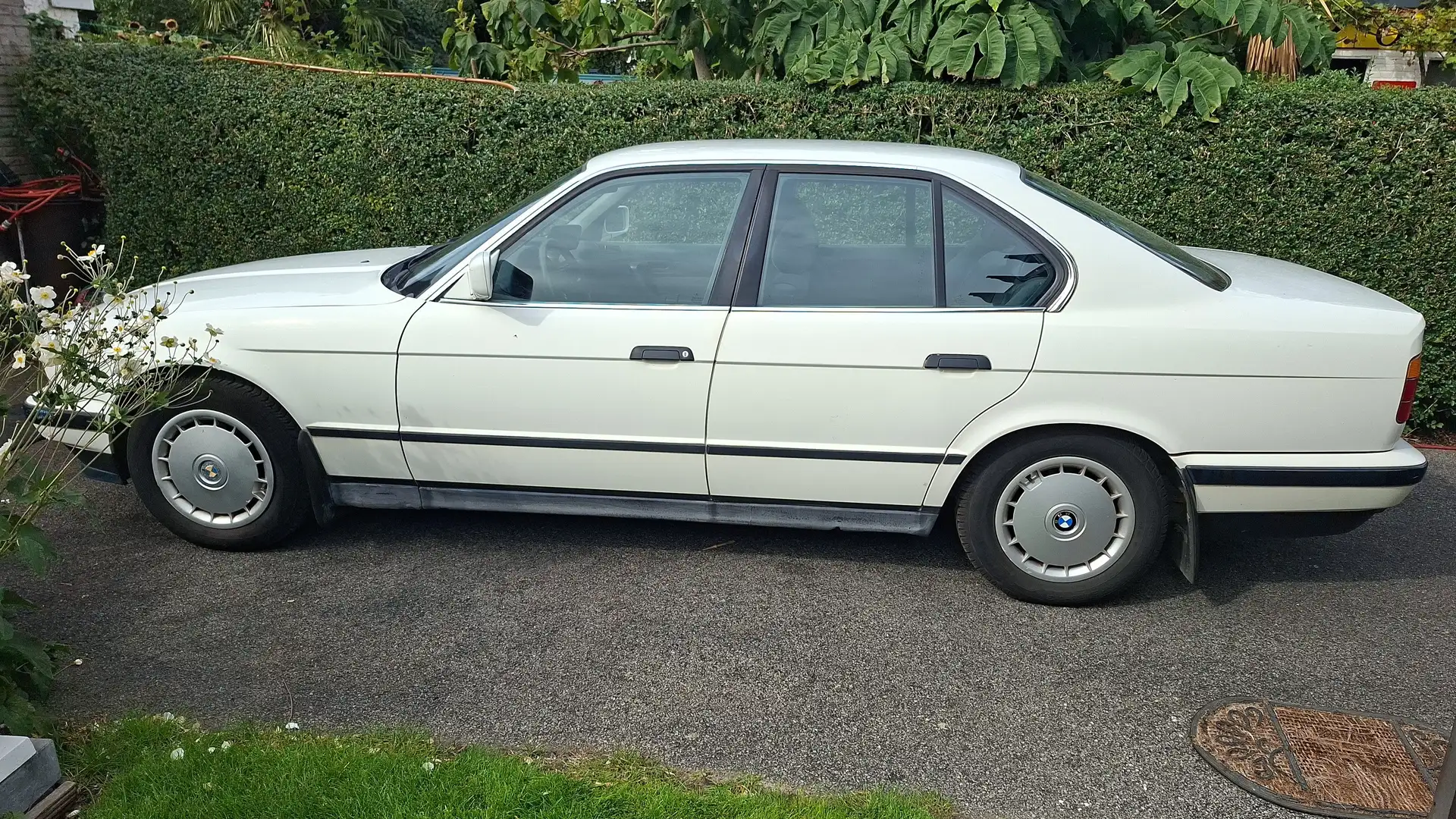 BMW 520 520i 24V Білий - 1