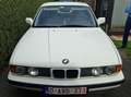 BMW 520 520i 24V Білий - thumbnail 3