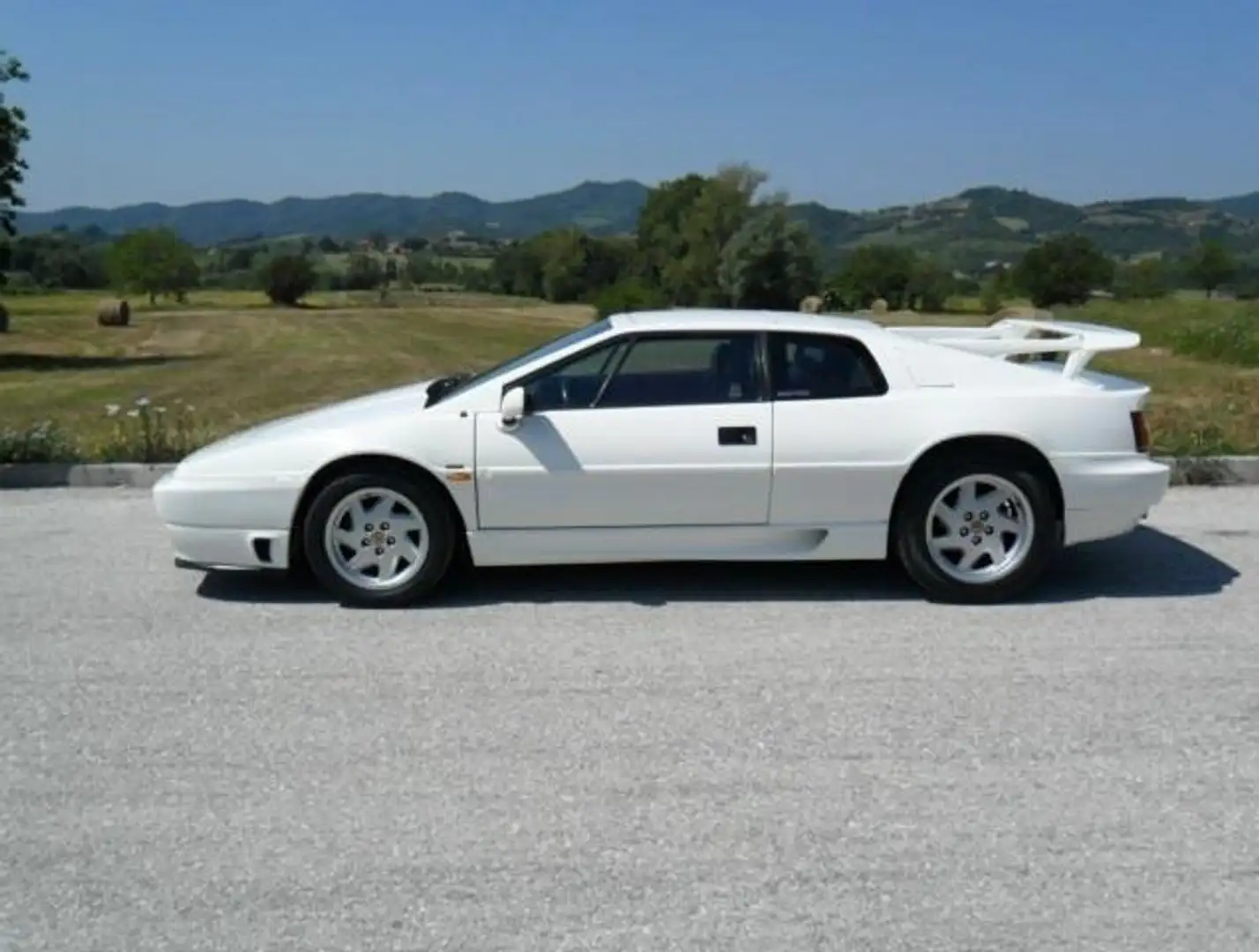 Lotus Esprit esprit 2.0 turbo intercooler Bianco - 1