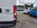 Fiat Ducato Ducato Serie 2 Furgone Lastrato 33q Mh2 12 Weiß - thumbnail 19
