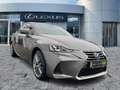 Lexus IS 300 h Luxury Line Schiebedach*Navi*ACC*KAM*DAB Grau - thumbnail 6