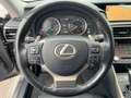 Lexus IS 300 h Luxury Line Schiebedach*Navi*ACC*KAM*DAB Grau - thumbnail 12