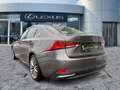 Lexus IS 300 h Luxury Line Schiebedach*Navi*ACC*KAM*DAB Grau - thumbnail 4