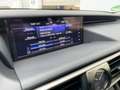 Lexus IS 300 h Luxury Line Schiebedach*Navi*ACC*KAM*DAB Grau - thumbnail 13