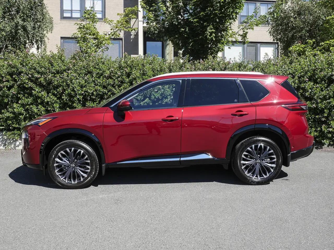 Nissan Rogue fotografie Nissan Rogue