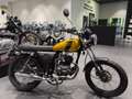 Mash Fifty Amarillo - thumbnail 2