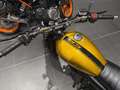 Mash Fifty Amarillo - thumbnail 3