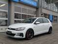 Volkswagen Golf VII GTI Performance*DSG*Kamera*Business* Blanco - thumbnail 25