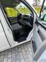 Volkswagen T6 Transporter 2.0 TDI tausch möglich Weiß - thumbnail 9
