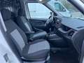 Fiat Doblo 1.6 M.JET 105CV 6M -TETTO ALTO- Bianco - thumbnail 12