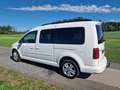 Volkswagen Caddy Maxi Comfortline BMT Weiß - thumbnail 4