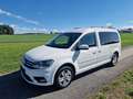 Volkswagen Caddy Maxi Comfortline BMT Weiß - thumbnail 7
