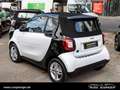 smart forTwo EQ  cabrio passion *Advanced*Navi*PDC*SH* Weiß - thumbnail 18