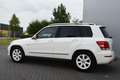 Mercedes-Benz GLK 200 CDI Ambition 99dkm! Wit - thumbnail 6