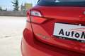 Ford Fiesta 1.1 Plus 85cv Rosso - thumbnail 7