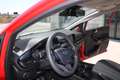 Ford Fiesta 1.1 Plus 85cv Rosso - thumbnail 13