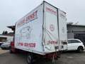 Mercedes-Benz Sprinter III 319 CDI /ZGG 3,5t /AHK 3,5t /LANG Rouge - thumbnail 6