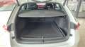 Skoda Octavia Combi 2.0 TSI RS *ACC*Navi*Matrix-LED* Weiß - thumbnail 5