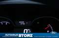 Fiat Talento Kasten 2.0 ECOJET TURBO L2H1 AUTOMATIK|HANDWERKER Weiß - thumbnail 12