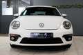 Volkswagen Beetle 1.2 TSI *119dkm* Volledig Sportleder|Navigatie|Cru Wit - thumbnail 7