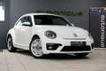 Volkswagen Beetle 1.2 TSI *119dkm* Volledig Sportleder|Navigatie|Cru Wit - thumbnail 4