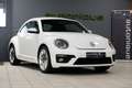 Volkswagen Beetle 1.2 TSI *119dkm* Volledig Sportleder|Navigatie|Cru Wit - thumbnail 6