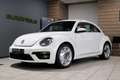 Volkswagen Beetle 1.2 TSI *119dkm* Volledig Sportleder|Navigatie|Cru Wit - thumbnail 3