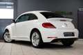 Volkswagen Beetle 1.2 TSI *119dkm* Volledig Sportleder|Navigatie|Cru Wit - thumbnail 12
