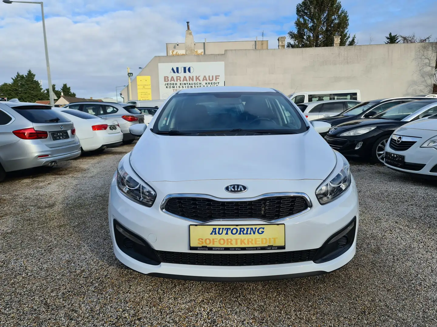 Kia Ceed / cee'd 1,4 CRDi Titan Weiß - 2