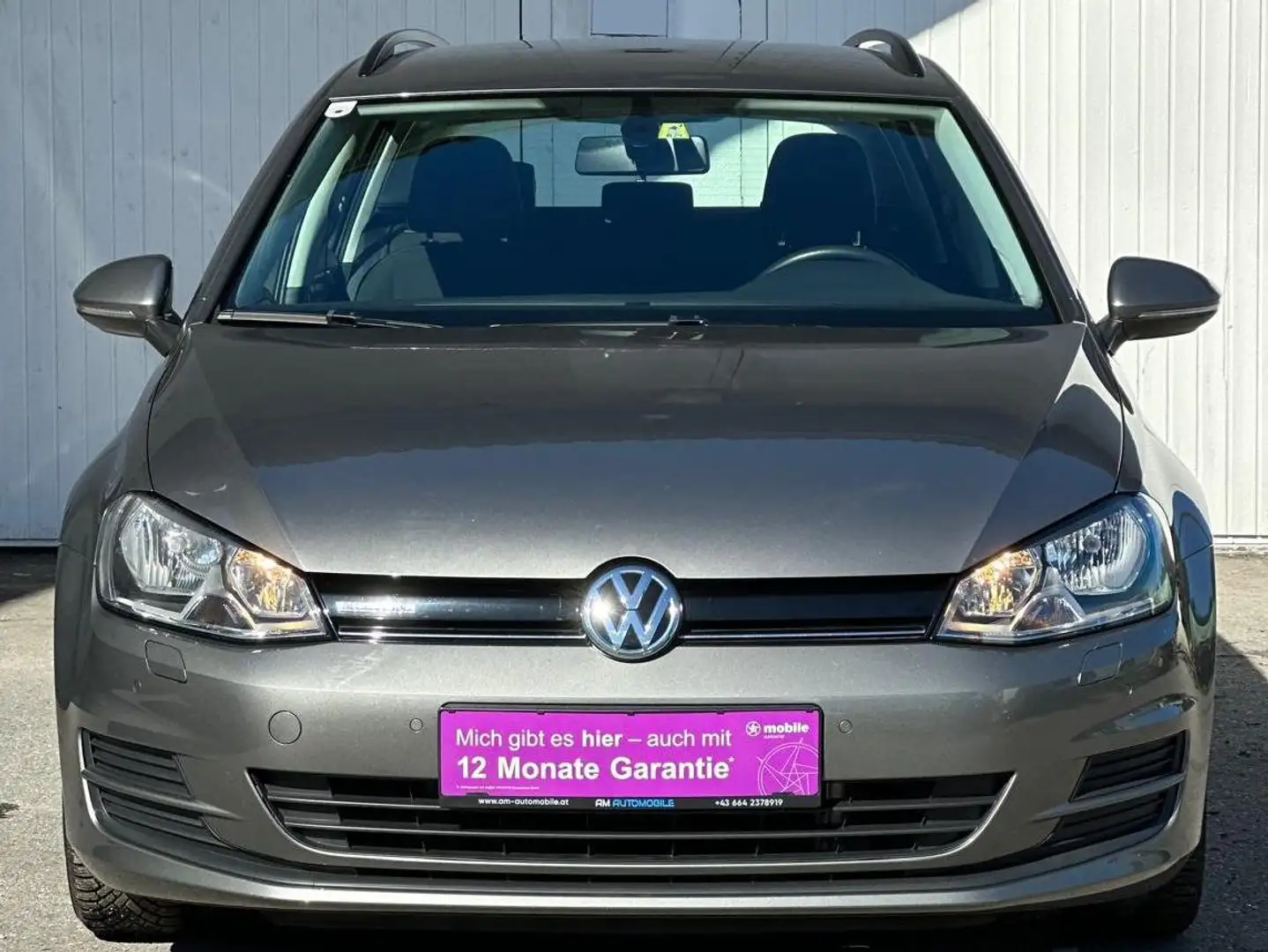 Volkswagen Golf Variant Trendline BlueMotion Gris - 2
