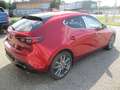 Mazda 3 /SP/G122/Exclusive/DASO/DESI Modell 2024 Rot - thumbnail 6