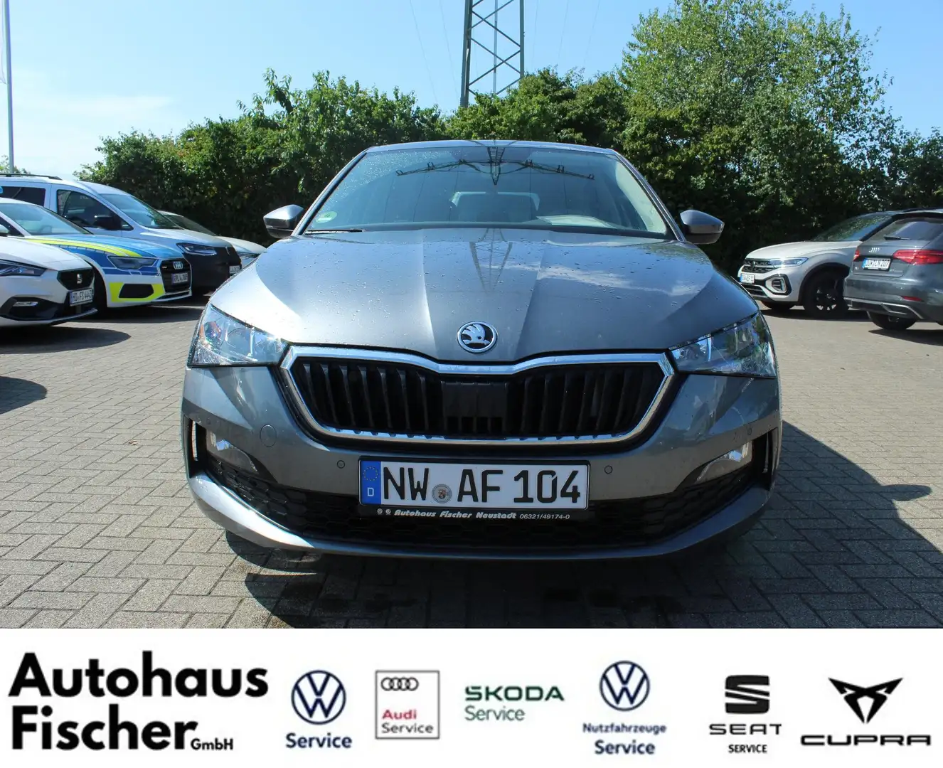 Skoda Scala Tour Grau - 2