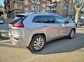 Jeep Cherokee 2.2 Mjt AWD Overland EURO 6 PELLE TETTO.. Plateado - thumbnail 4