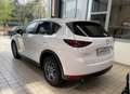 Mazda CX-5 2.2L Skyactiv-D 150 CV 2WD Exceed Bianco - thumbnail 5